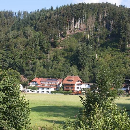 Ferienwohnung Am Rain Winden im Elztal Eksteriør billede