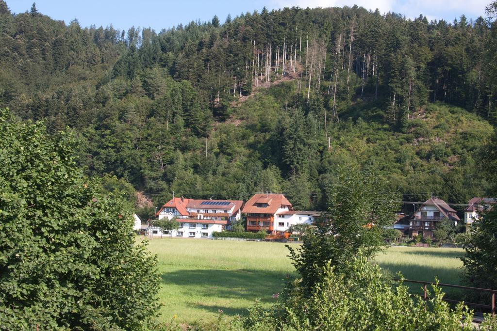 Ferienwohnung Am Rain Winden im Elztal Eksteriør billede